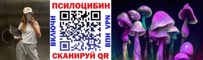 Галлюциногенные грибы прущие грибы  блэк спрут ТОР  Петров Вал 